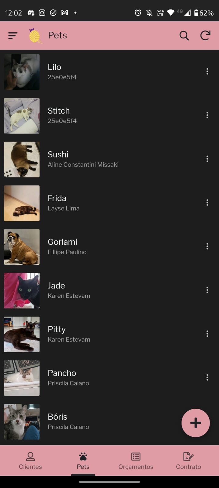 Imagem de celular do projeto RDR